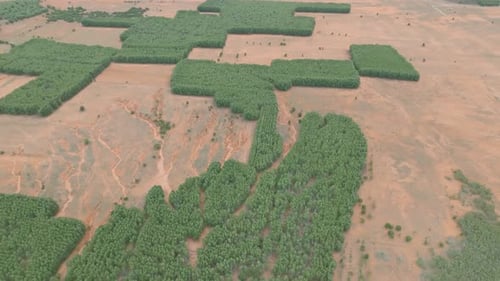 Aerial View of Patchwork Rural Landscape
