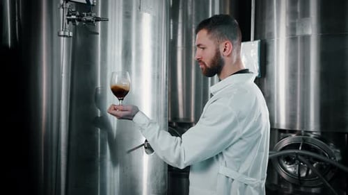 Brautechnologe betrachtet dunkles Bier im Glas in der Werkstatt einer Industriebrauerei