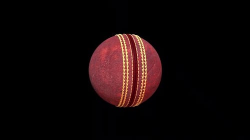 Rotating Cricket Ball Seamless Loop Animation