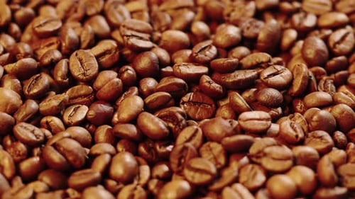 Roasting Coffee Beans with Smoke on Dark Background Close Up Arabica Robusta Colombian Beans