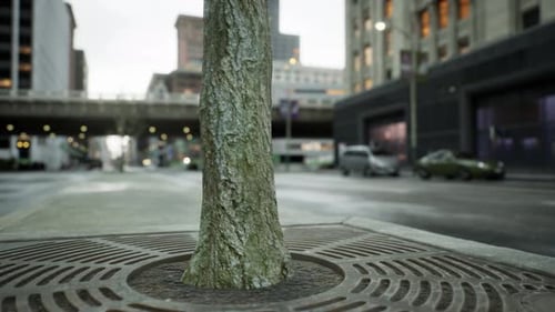 Stunning Hyper Lapse of Downtown Area