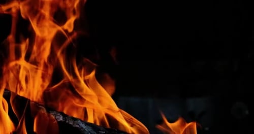 Vivid Flames Dancing in the Darkness