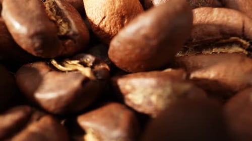 Beautiful coffee beans. Close-up macro video. 4K