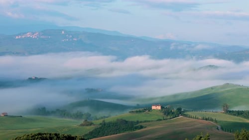 Rolling Hills Landscape in Soft Morning Light