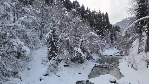 River And Majestic Winter Forest Landscape (Cinematic)