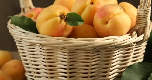 Close-up of Fresh Apricots in Woven Basket
