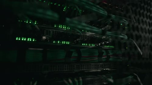 Illuminated Servers and Green Cables in Data Center