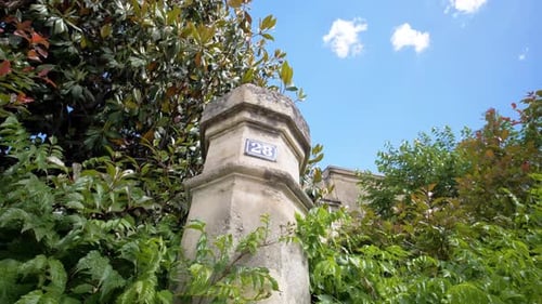 Stone Pillar with Number Amidst Green Foliage
