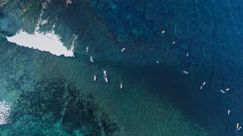 Aerial Drone View of Breaking Waves and Surfers in Blue Ocean