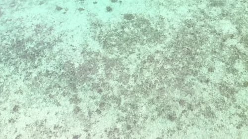 Aerial tilt up drone shot above a white sand beach, revealing the turquoise ocean, at Coron island,