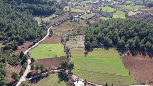 Grünes Plateau
