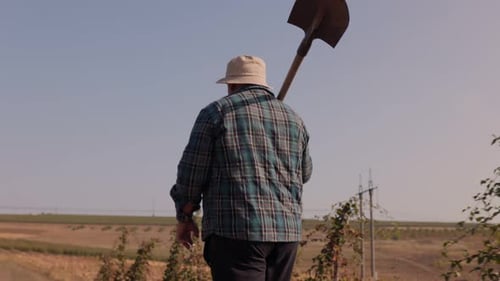 Senior Caucasian Farmer Walking with a Shovel in Hand Through His Farmland Back View Tracking Shot