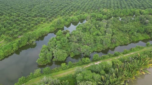 A river running through a lush green forest