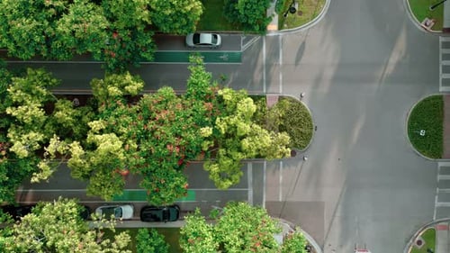 Eine Straße mit vielen grünen Bäumen in einer Luxusgegend, Drohnenaufnahme von oben nach unten