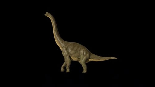 Brachiosaurus-Dinosaur-Schleife