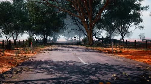 Treelined Road Inviting you to Take a Peaceful Journey Through Nature