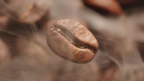 Steaming Coffee Bean Close Up