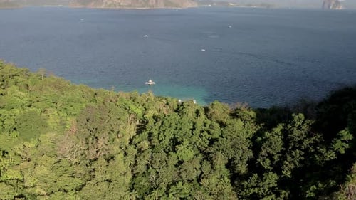 A lush green coastline with a vast blue ocean in the background, aerial view