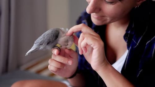 Mujer feliz acariciando a un loro en casa: concepto de amistad entre propietario y animal y vida doméstica