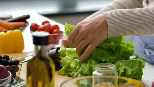 Healthy Eating, Vegetarian Food And Cooking Concept - Woman Adding Lettuce To Salad Bowl At Home ...