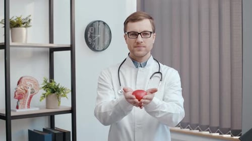 Cardiologist doctor with a toy red heart. Phonendoscope, stethoscope and cardiogram