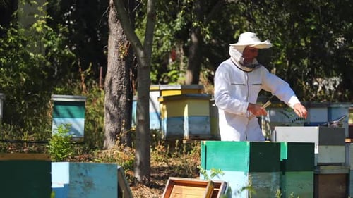 Beekeeper Inspecting Beehives on Sunny Day