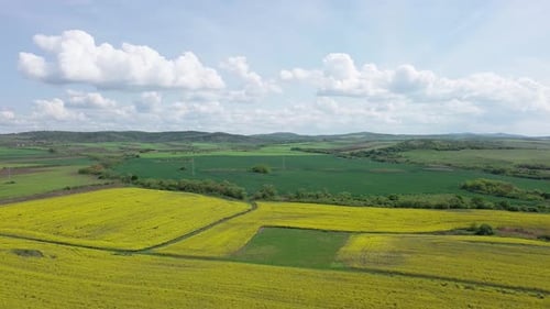 Fields with a Plant in a Valley Against the Background of the Village and the Sky in Bulgaria