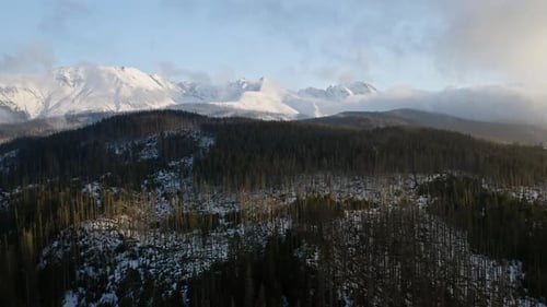 Beautiful Drone Aerial Forest shot with stunning mountain range covered in snow