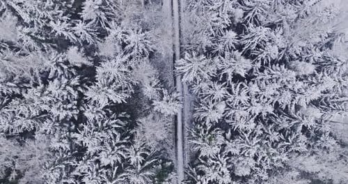 Aerial view of snowy forest and country road in winter.