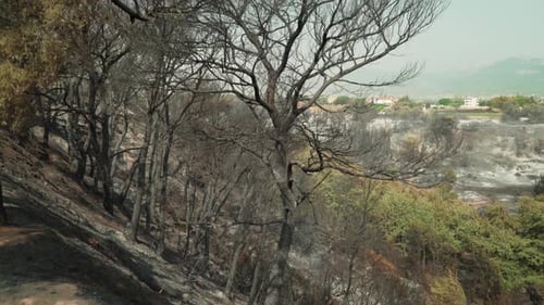 Wide pan view of catastrophic results of big forest fire at Parnitha mountain, Greece , August 2021.