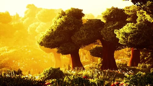 Cartoon Flowering Green Forest on Sunset