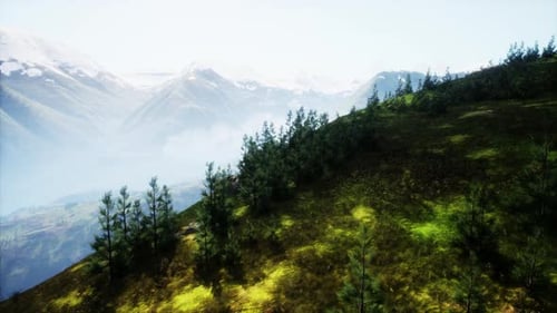 Cinematic Aerial View of Majestic Mountains and Pine Forests