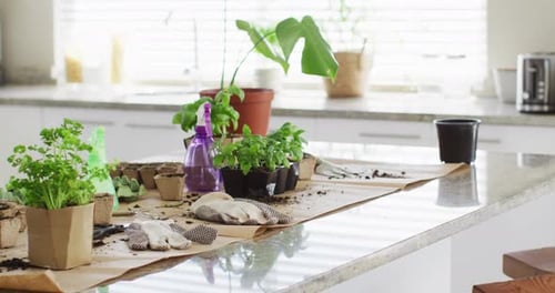 Close up of garden equipment with gloves and plants on table in kitchen
