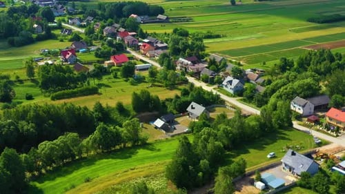 4K Aerial view of agriculture in rice fields for cultivation. yellow rice field waving in the wind,