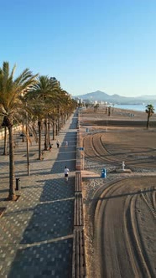 Aerial drone view of palm trees on a promenade near the beach and buildings along coastline of Alica