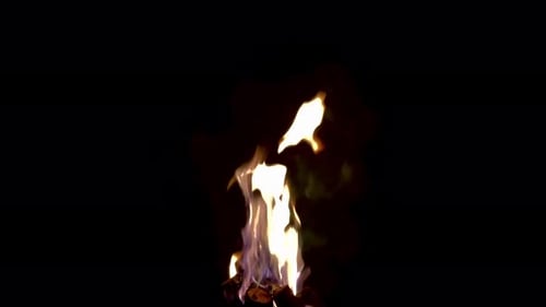 Flamme aus Brennholz