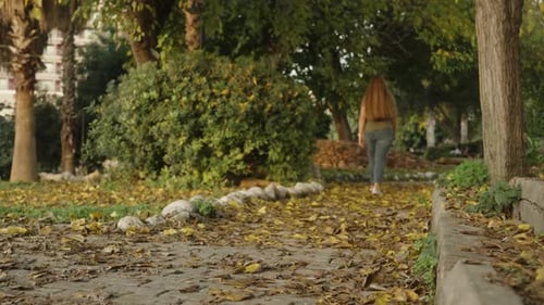 Fallen yellow foliage on the path in the park. The young woman goes off into the distance along it.