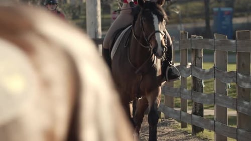 Horseback Riding Young Girls Learn Horse Riding on a Horse Farm