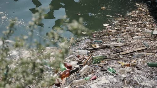 Schwimmende Plastikflaschen und verschiedener Müll in verschmutztem Wasser