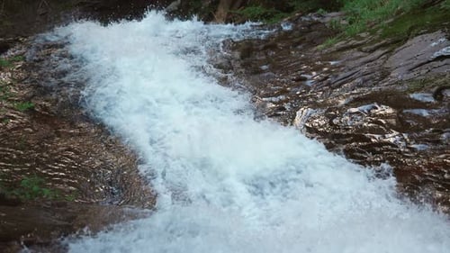 Stream in the Thicket of Forest with Spruce Trees and Rocky Slopes