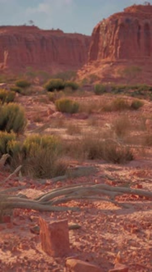 Arid Desert Landscape With Rocks and Plants
