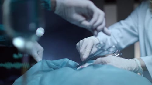 Surgical Operation. Close Up of Surgery Hand Holding Medical Clamp During Operation