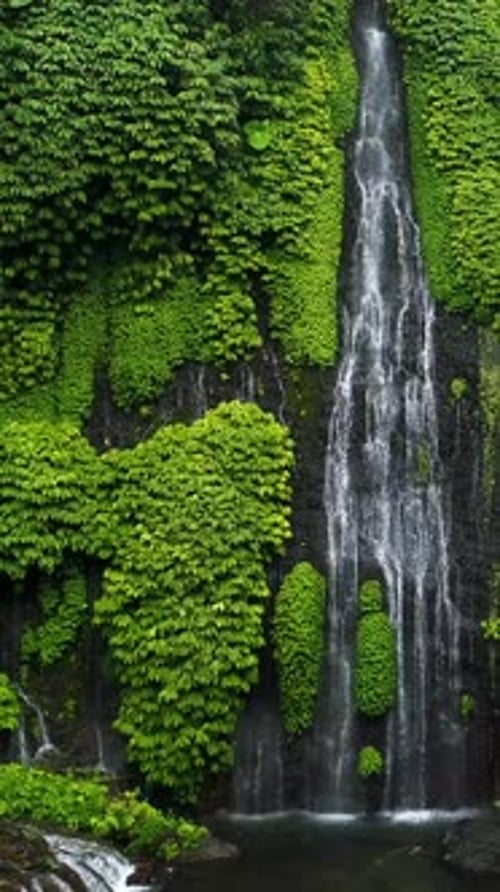 Waterfall Cascades Through Tropical Lush Greenery