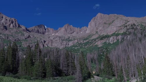Campamento de verano para mochileros: Juniper Rocky Mountains Chicago Basin Colorado Silverton San Juan Range