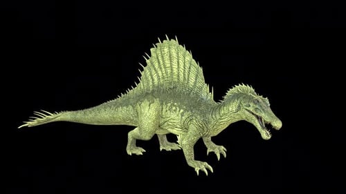 Spino Bite Idle