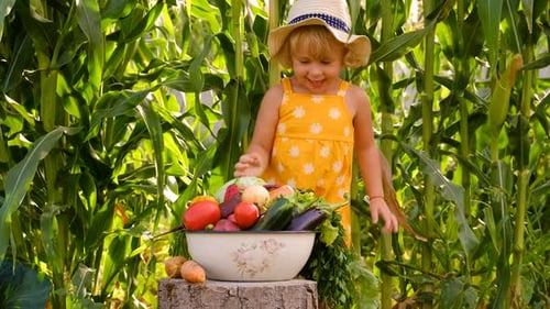 Child with Vegetables in the Garden Selective Focus
