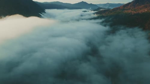 Majestic Morning Fog Over Serene Mountain Valley in Early Daylight