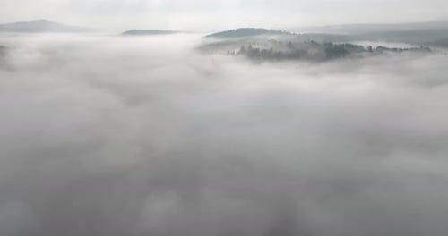 Aerial Drone Footage of Misty Fog Blowing Over Pine Tree Forest on a Beautiful Morning