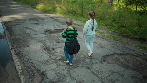 Little Girl Holding Flower Walking Beside Brother on Cracked Asphalt Road