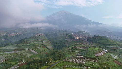 Scenic aerial view of countryside view of tropical vegetable plantations on hillside terraces